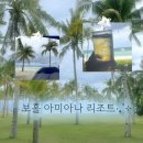 거진에코다이빙 리조트 | 보홀비치클럽 리조트 내돈내산 후기 | 숙소 앞 스노클링 되는 BBC 리조트