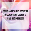 오독안심분양센터 강아지분양 고양이분양 인천점 | 오독안심분양센터 강아지분양 고양이분양 인천점 귀여운 인천애견분양