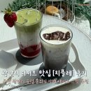 치플레 부산 | 부산 광안리카페 치플레 디저트 맛집 추천 후기
