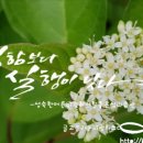 장보경로당 이미지