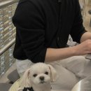 모던상사 이미지