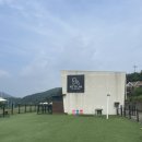 펫티움애견펜션 이미지