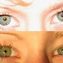 마비상사 이미지