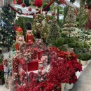 자유도매시장(동구) | 부산 자유도매시장 꽃 도매 후기｜3층 크리스마스 장식까지 한 번에!