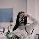 드높플라워스튜디오 이미지