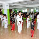 연세이글태권도 이미지