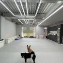 감삼동305 이미지