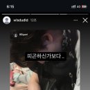 구구가가