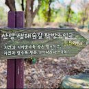 제주랑아이랑