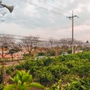 표선 교차로 4 이미지