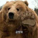 도쿄 워홀 D+93) 영화관 알바 후기: “어서 오세요 어서 가세요”