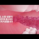 모현프라자약국 이미지