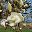 당동목욕탕 이미지