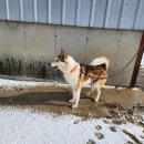 병근 농장 이미지