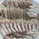 잘 회수산 센터 | 영종도 대성수산 | 구읍뱃터 회 센터 맛집 내돈내산 후기 &amp; 할인 꿀팁