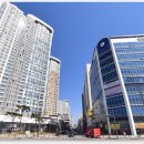 배곧라라중학교 이미지