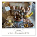 안목해변 강릉소품샵 : 안목역선물상자, 라라의상점, 잇츠안목 강릉기념품샵 (가격,방문후기)