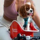 필문대로 이미지