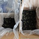 아로니아 - 쌀, 고추가루, 쪽파종구 필요합니다. 이미지