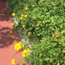 ㈜엘렉스 이미지