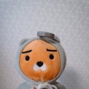 메디유미 이미지