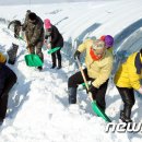 김한식농장 이미지