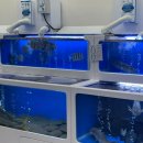 어가활어횟집 이미지