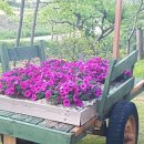 아리스토이펜션 이미지