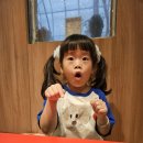 자연(애)장수 | 장수풍뎅이 입양해왔어요 목표는 알낳기 !