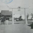 용미 Daum카페