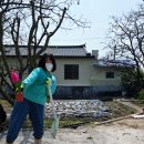 부경원예농협 화훼공판장 부산 경남 식목일 기념 꽃심기