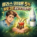 클라스코인 이미지