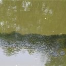 동물식물 생태체험교실 이미지