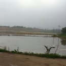 새누리농장 이미지