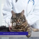 본 동물 건강검진영상센터 이미지