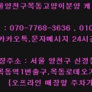 문캐터리 네이버블로그