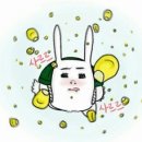 카페소피아 네이버블로그