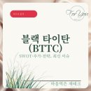 블랙타이탄