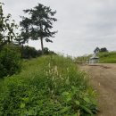 맨드라미농장 이미지