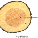 제일목재 이미지