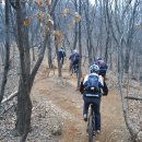 이병복농장 이미지