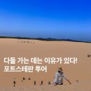 호주 시드니 포트스테판 투어 :: 와이너리, 돌고래 크루즈까지! 후회 없는 후기