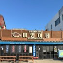 미영(아) | 제주 고등어회 맛집 미영이네 먹어본 곳 중 일등! 내돈내산