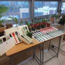 진명해피케어 이미지