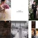 제이앤팜 | [결혼준비] 플래너 비용/업체 및 유명한 웨딩플래너 추천