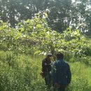 만선농장 이미지