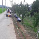 아산마을진입로 이미지