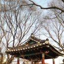 고산사 아미타불화 이미지