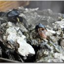 거제도 굴구이 이미지