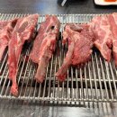 소리박물관앞 횡단보도 이미지